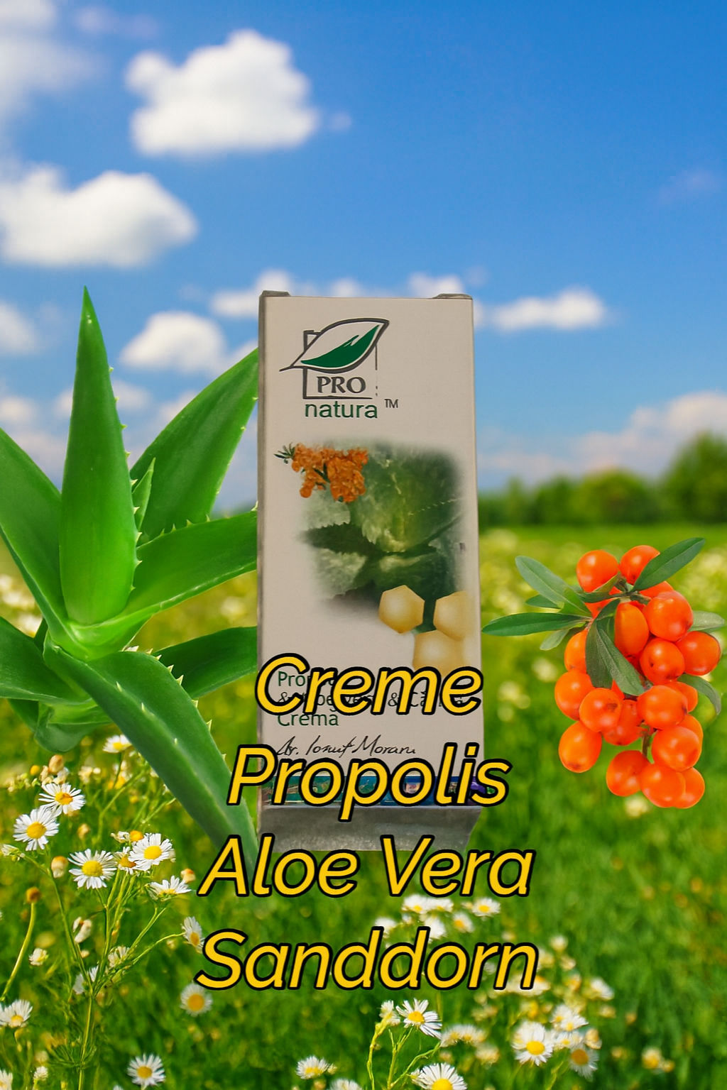 Creme Propolis, Aloe Vera, Sanddorn